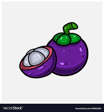 mangosteen fruit cartoon with simple gradient and