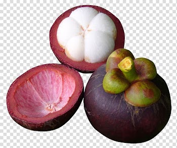 Mangosteen, Fruit Frutti di bosco Purple mangosteen Letter Strawberry, Purple Mangosteen transparent background PNG clipart