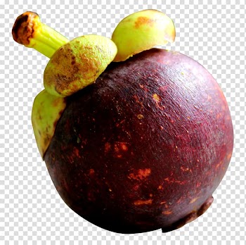 Mangostein fruit, Purple mangosteen, Purple Mangosteen transparent background PNG clipart