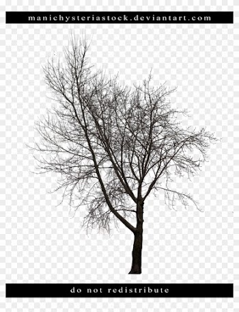 Manichysteriastock Bare Tree Cut Out 2 By Manichysteriastock - Bare Tree Cut Out