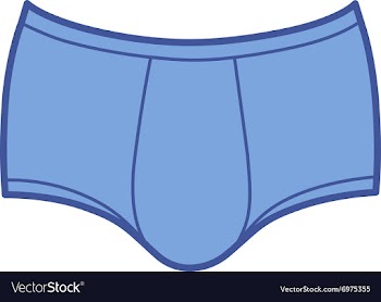 Mans outlined template brief underpants vector image