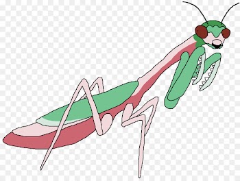 Mantis, Insect, Character, Mantidae PNG