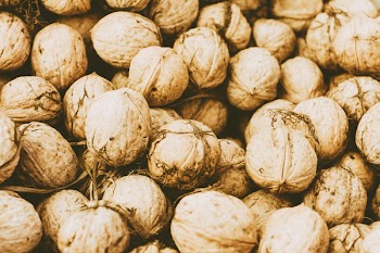 Many walnuts 2