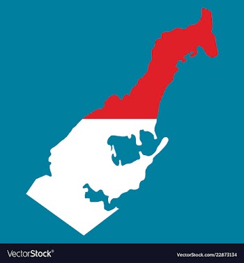 Map and flag of monaco with white background vector image