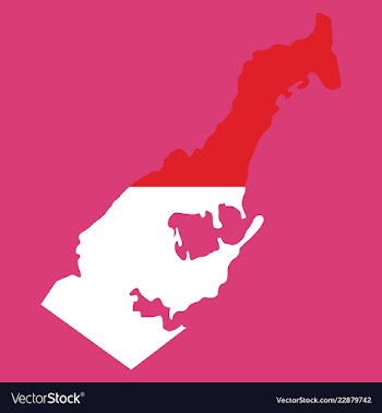 Map and flag of monaco with white background vector image