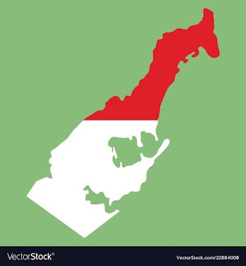 Map and flag of monaco with white background vector image