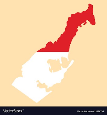 Map and flag of monaco with white background vector image