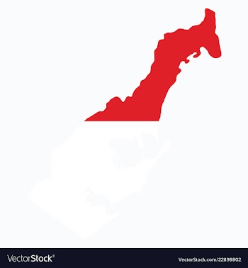 Map and flag of monaco with white background vector image