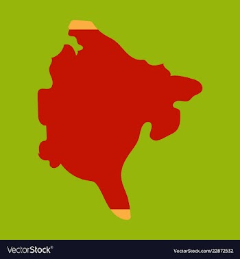 Map and flag of montenegro vector image