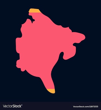 Map and flag of montenegro vector image