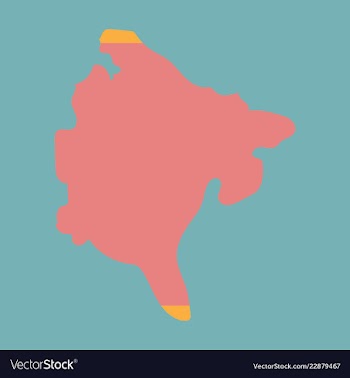 Map and flag of montenegro vector image