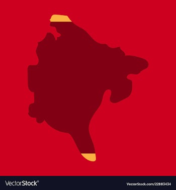 Map and flag of montenegro vector image