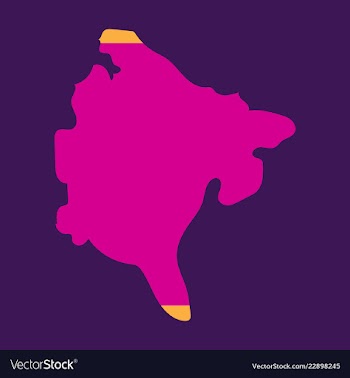 Map and flag of montenegro vector image