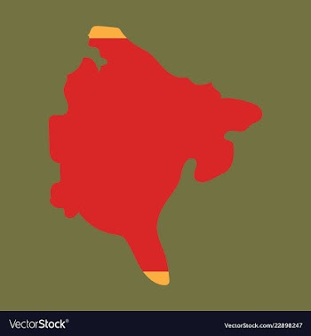 Map and flag of montenegro vector image