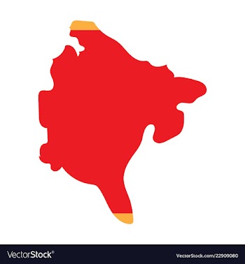 Map and flag of montenegro vector image