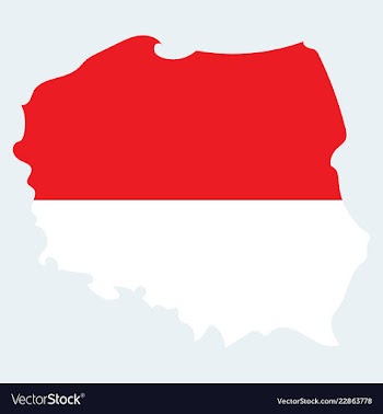 Map and flag of poland vector image