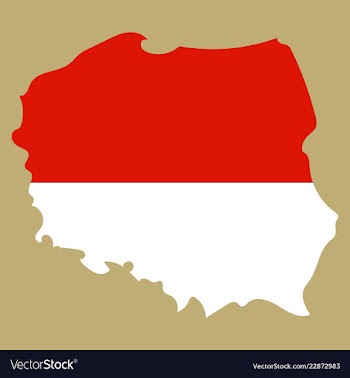 Map and flag of poland vector image