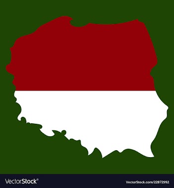 Map and flag of poland vector image