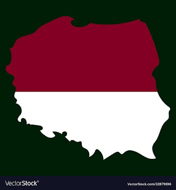 Map and flag of poland vector image