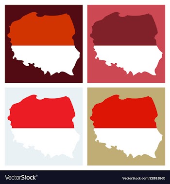 Map and flag of poland vector image
