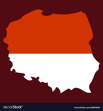 Map and flag of poland vector image