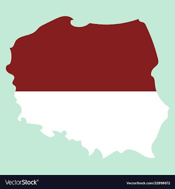 Map and flag of poland vector image