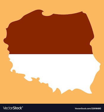 Map and flag of poland vector image