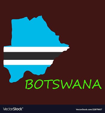 Map flag botswana vector image