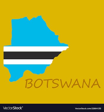 Map flag botswana vector image