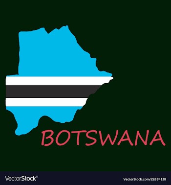 Map flag botswana vector image