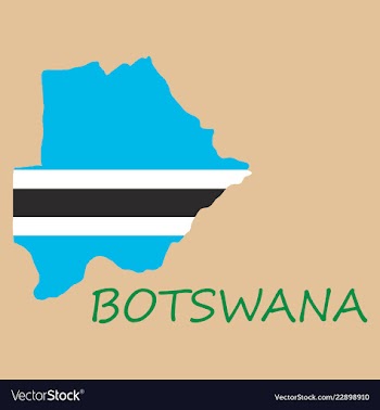 Map flag botswana vector image