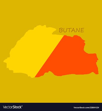 Map of bhutan with flag vector image