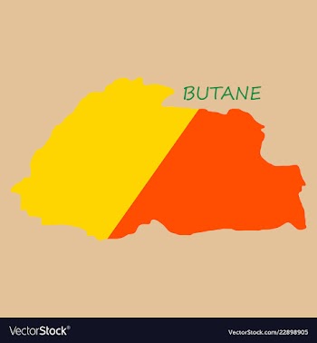 Map of bhutan with flag vector image
