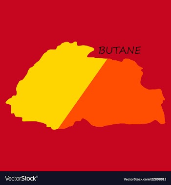 Map of bhutan with flag vector image