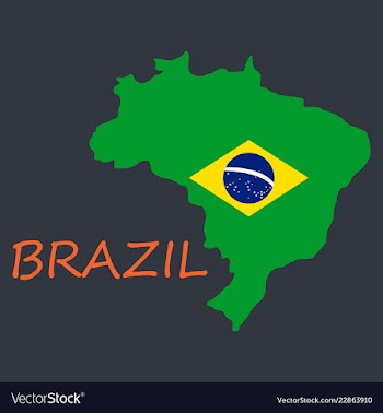 Map of brasil icon flat of icon for web on yellow vector image
