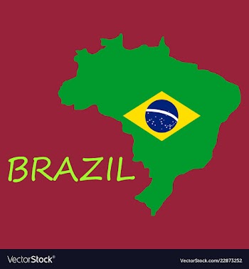 Map of brasil icon flat of icon for web on yellow vector image