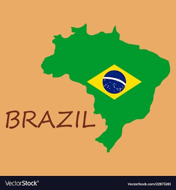 Map of brasil icon flat of icon for web on yellow vector image