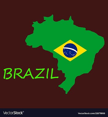 Map of brasil icon flat of icon for web on yellow vector image