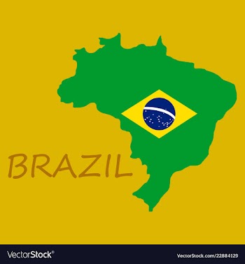Map of brasil icon flat of icon for web on yellow vector image