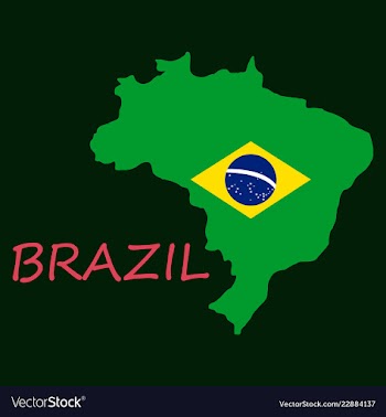 Map of brasil icon flat of icon for web on yellow vector image