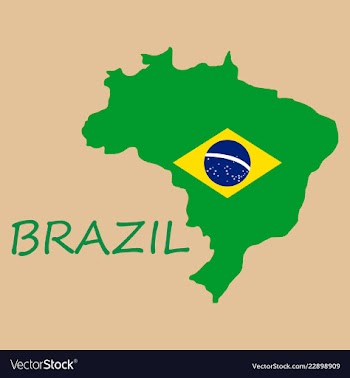 Map of brasil icon flat of icon for web on yellow vector image