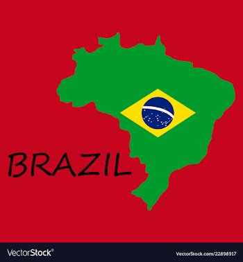 Map of brasil icon flat of icon for web on yellow vector image