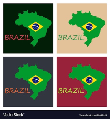 Map of brasil icon flat of icon for web on yellow vector image
