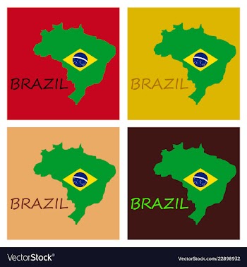 Map of brasil icon flat of icon for web on yellow vector image
