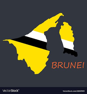 Map of brunei with the provinces colored in vector image