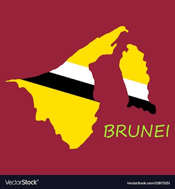 Map of brunei with the provinces colored in vector image