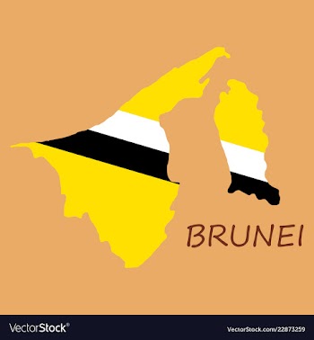 Map of brunei with the provinces colored in vector image