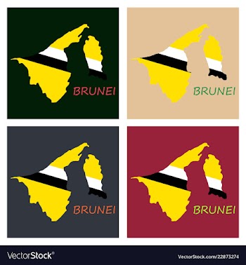 Map of brunei with the provinces colored in vector image