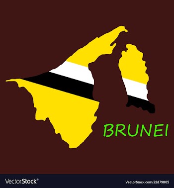 Map of brunei with the provinces colored in vector image
