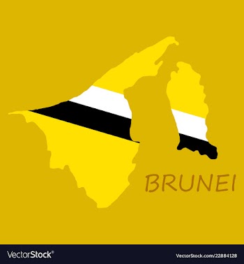 Map of brunei with the provinces colored in vector image